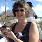 Darlene Behrman Wilcox - @darlenebehrman - Instagram