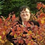 Darlene Canning Wilcox - @canningwilcox - Instagram