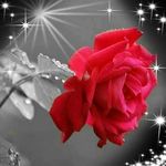 Darlene M. Wilcox - @darlene_m.wilcox - Instagram