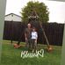 Darlene Wilcox - Facebook