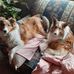 Darlene Wiley - Facebook