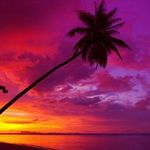 Darlene Wolfe - @djwolfebane66 - Instagram