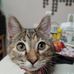 Darlene Wolfe - Facebook