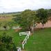 Darli Silva - Facebook