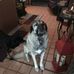 Darlin Moore - Facebook