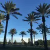 darlineclark - @darlineclark - TikTok