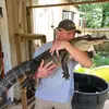 Darryle DeMoss - @darryle.demoss - TikTok