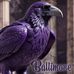 Darnellbuckner   - Facebook