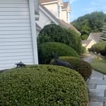 Darnell Curry - @royaltouchlandscaping - Instagram