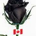 Darnell Daye - Facebook
