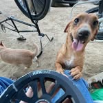Darnell Dean - @dizzydean05 - Instagram