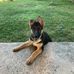 Denell Dipple - Facebook