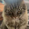 Dillon - @darnelldingle69420 - TikTok