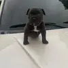 Darnell Hill - @darnell.hill1 - TikTok