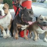 Darnell McCoy - @ddmccoy76 - Instagram