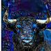 Darnell Miller - Facebook