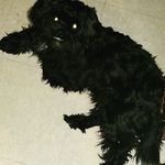 darnellmobley - @kotaluv13 - Instagram