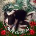 Darrell Overall - Facebook