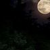 Darrell Overall - Facebook