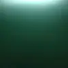 DarnellWarner - @darnellwarnerunca - TikTok