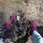 Darren Crowder - Facebook