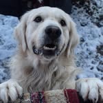 Daron White VonDanienthal - @daron.vondanienthal - Instagram