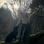Darragh Connolly - @darragh.mjc - Instagram