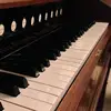 Darragh Connolly - @darragh.connolly2 - TikTok