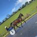 Darragh Donnelly - Facebook