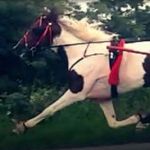 @darraghdonnelly1 - Instagram