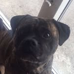 Darragh Mccarthy - @darraghmaaaan - Instagram