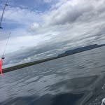 Darragh white - @darragh447 - Instagram