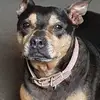 Darran Green - @darran.green - TikTok