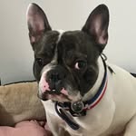 Darrel Keith Dagta - @jesuisdarrel - Instagram
