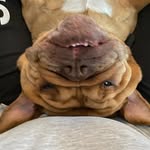 Rodney, Keith and Darrel - @rodney.keith.darrel - Instagram