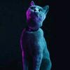 @kim_darrel - @kimdarrel_12 - TikTok