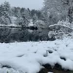 Darrell Auduong - @darrellauduong - Instagram