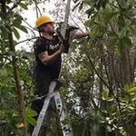 Darrel Lowe - @darrel.lowe.9 - Instagram