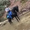 Darrell L Lowe - @darrell.l.lowe - TikTok