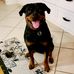 Darrel W. Manns - Facebook