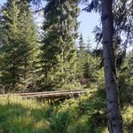 DARREL - @darrel_miles4v.36 - Instagram