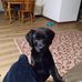 Darrell Mitchell - Facebook