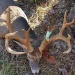 Darrell Mitchell - @darrell.mitchell.5205 - Instagram