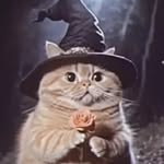 Darrel - @darrel.cong - Instagram
