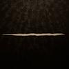 Darrell Ng - @darrell_ng - TikTok