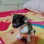 Darrel Pérez - @ryysmamy - Instagram