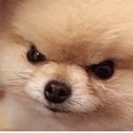 Darrel Perez - @ytineres.06 - Instagram