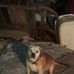 Darrel Roy - Facebook