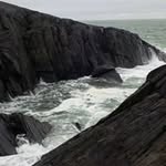 Darrell Roy - @darrellroy - Instagram