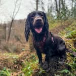 Darrel Scott - @darrelscott190901 - Instagram